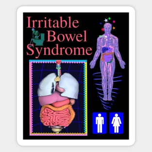 Irritable Bowel Syndrome - 90's 2000's Y2K CGI 3D Video Game Graphics PooCore Magnet